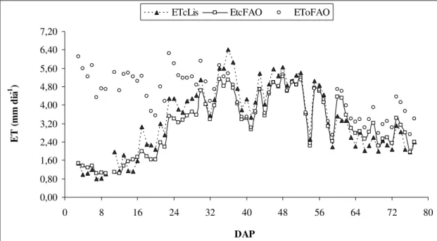 FIGURA 4. Evapotranspiração do lisímetro (ETcLis), evapotranspiração da cultura pelo método da  FAO  (ETcFAO)  e  evapotranspiração  de  referência  pela  FAO  (EToFAO)  durante  o  ciclo  do  melancia  Mickylee