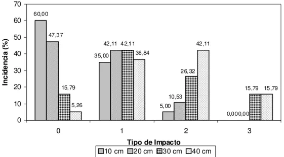 FIGURA 2. Comparação percentual dos danos em tomate híbrido ‘Débora’ causados por altura em  superfície  acolchoada