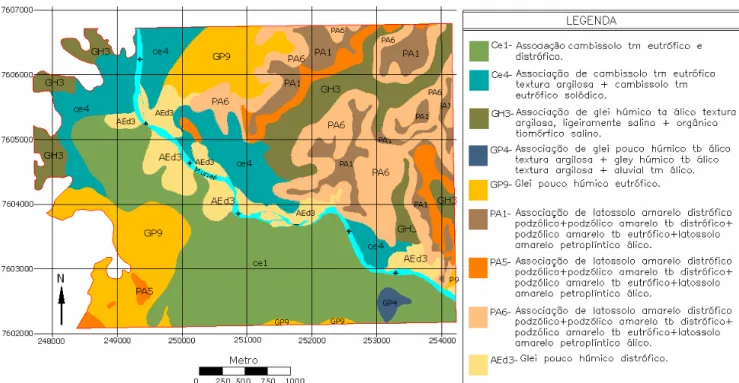 FIGURA 2. Mapa de solos da área estudada. Soil map of the study site. 