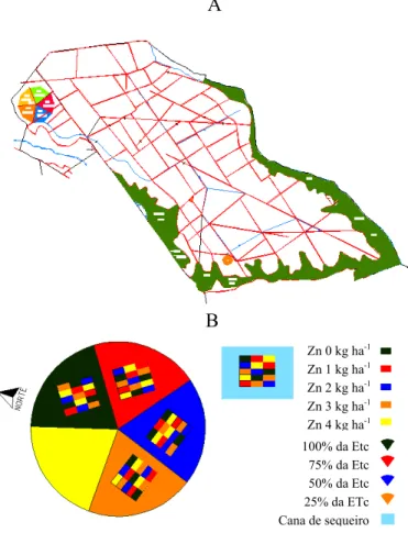 FIGURA 1. (A) Mapa de localização da Fazenda Capim II, (B) área do experimento e tratamentos