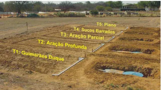 FIGURA 1. Detalhes da área de plantio e do sistema de coleta da água e do solo nos tratamentos