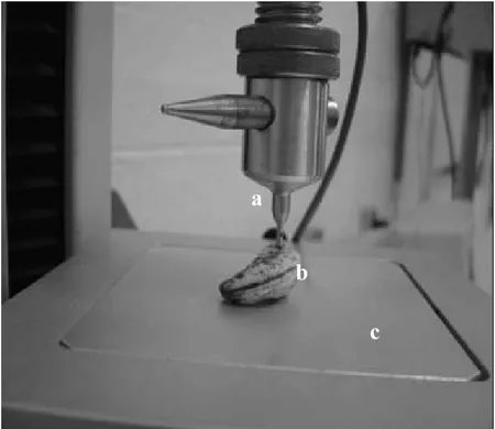 FIGURA 5. Posição da ponteira (a) e amêndoa (b) sobre a base plana (c) durante ensaio de  penetração
