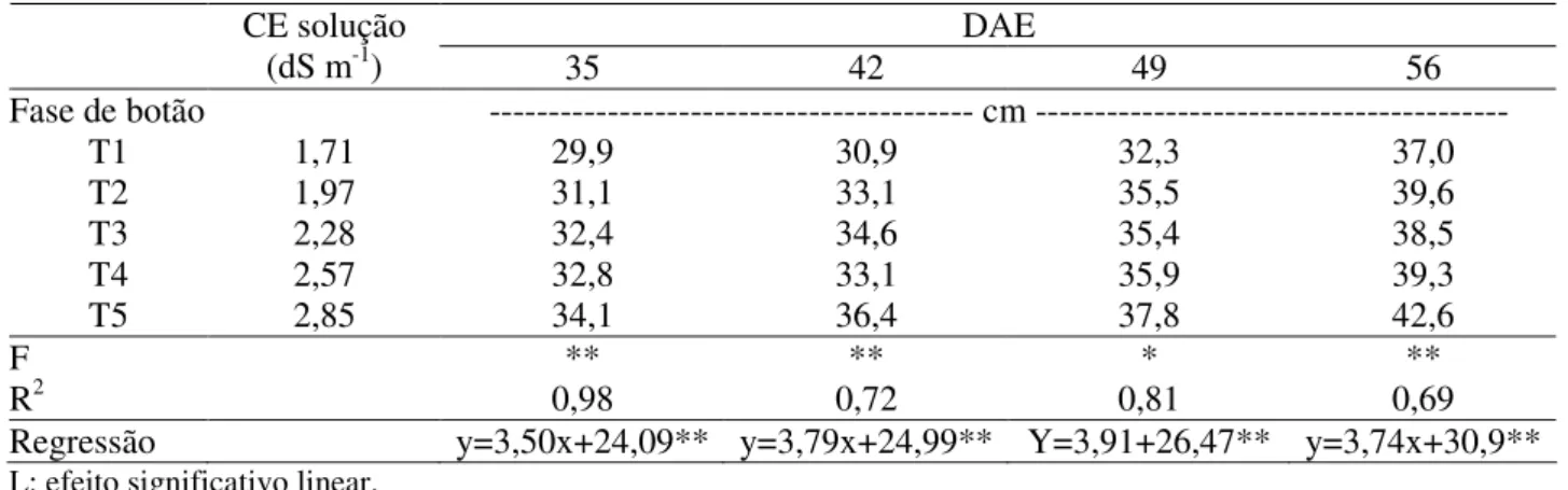 TABELA  3.  Diâmetro  do  buquê  de  plantas  de  crisântemo  (cm)  em  função  dos  tratamentos  e  da  idade