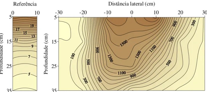 FIGURA 11. Distribuição de fósforo  (P: mg dm -3 ) no perfil do solo com adição de 90 kg ha -1  de 