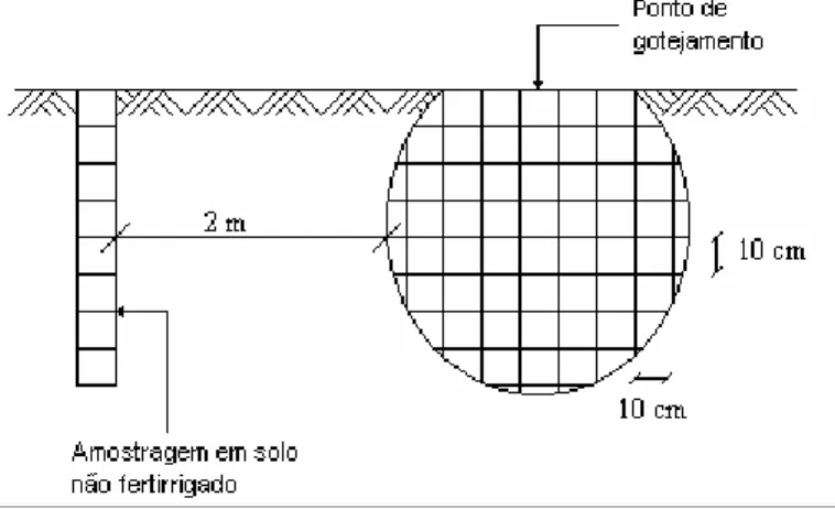 FIGURA 2.  Esquema de demarcação das quadrículas para retirar amostras de solo nas trincheiras