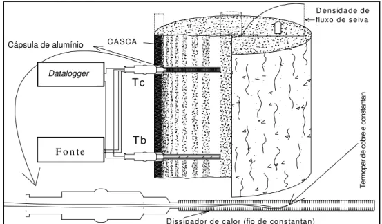 FIGURA 1. Detalhes do sensor de Granier instalado no tronco de uma árvore. Na parte inferior da  figura, observam-se os detalhes da sonda aquecida