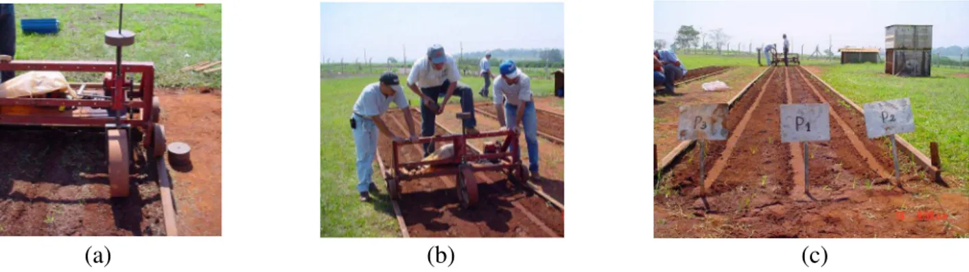 FIGURA 1. Vista da roda compactadora e dos lastros de chumbo responsáveis pela compactação  do  solo  sobre  a  semente  (a);  execução  da  compactação  do  solo  sobre  as  linhas  de  semeadura (b), e linhas de semeadura compactadas (c)