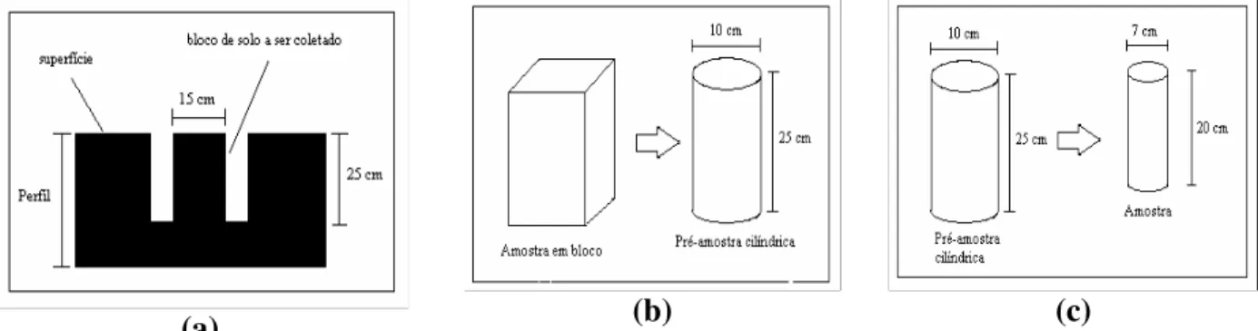 TABELA 1. Atributos físico-hídricos dos solos.