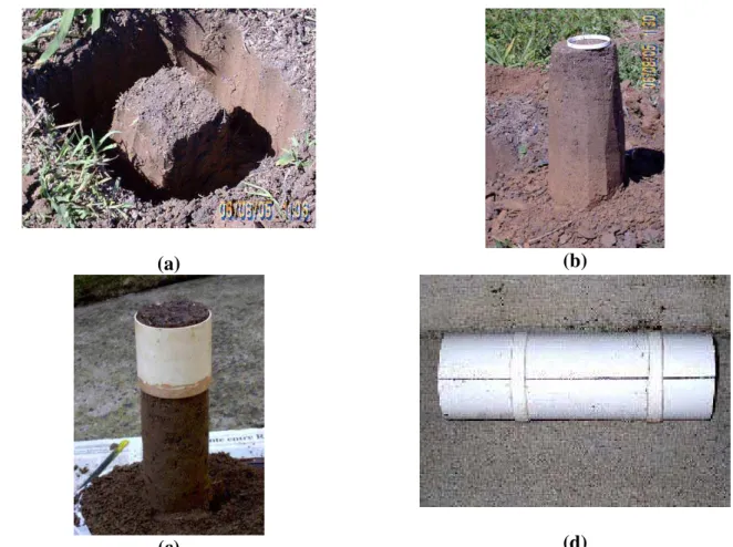 FIGURA 2. Detalhe da escavação (a); início do preparo da pré-amostra (b); início do preparo da amostra cilíndrica final (c), e detalhe da amostra após ser colada no tubo de PVC (d)