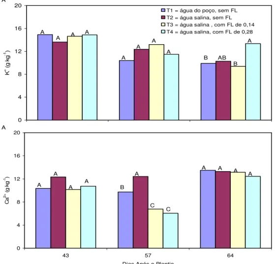 FIGURA  5.  Teores  de  K +   (A)  e  Ca 2+   (B)  em  folhas  maduras  de  plantas  de  feijão-de-corda  em  função dos tratamentos (T1 a T4) e da época de medição (dias após o plantio)