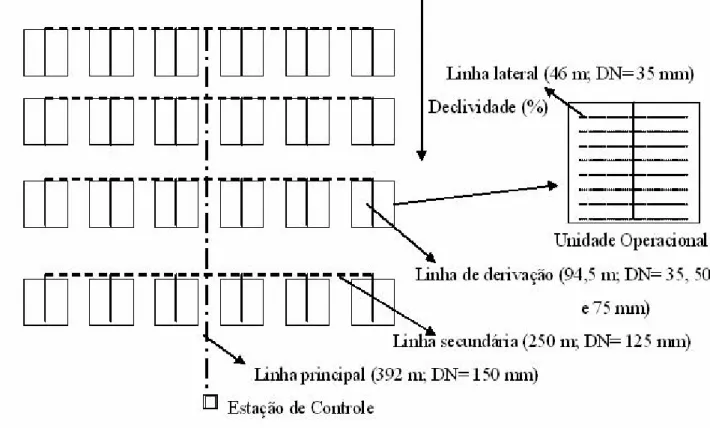FIGURA 1. Esquema  do  sistema  de  irrigação  por  microaspersão  contendo  24  unidades  operacionais com os respectivos comprimentos de cada linha e os diâmetros nominais  (DN)