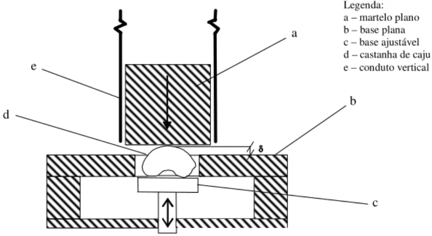 FIGURA 2. Representação  esquemática  do  dispositivo  de  impacto  mostrando  a  aplicação  direcionada da força e deformação (δ)