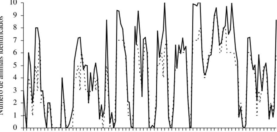 FIGURA 6. Variação  do  número  de  animais  captados  pela  câmera  de  vídeo  e  pelas  antenas  de  recepção do sinal emitido pelos microchips