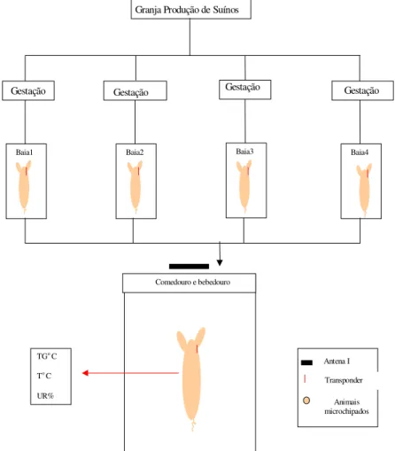 FIGURA 2 . Esquema geral da montagem do experimento, visando à interação comportamento versus  ambiente