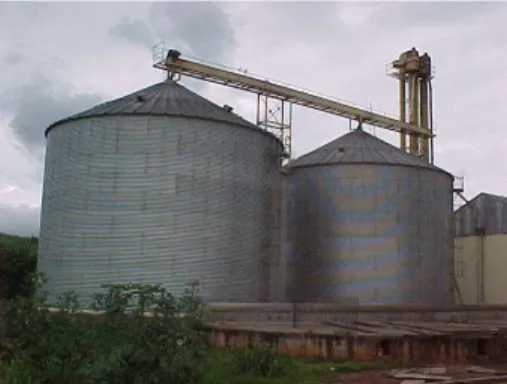 FIGURA 3. Vista do sistema de armazenagem de grãos da fábrica de ração.  Sistema de pesagem e dosagem automática  