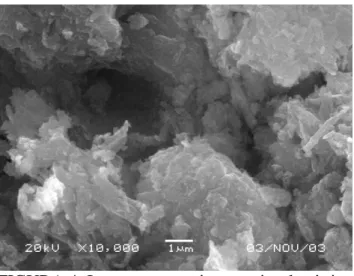 FIGURA  5. Imagem  por  microscopia  eletrônica  de  varredura,  com  ampliação  de  10.000  vezes,  para  a  mistura  com  silicato de sódio (T5), aos 91 dias