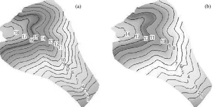 FIGURA 2.  Modelo  digital  de  elevação  (MDE)  e  disposição  de  terraços  na  área  de  aplicação  do  modelo desenvolvido com a cultura do feijão (a) e do milho (b)