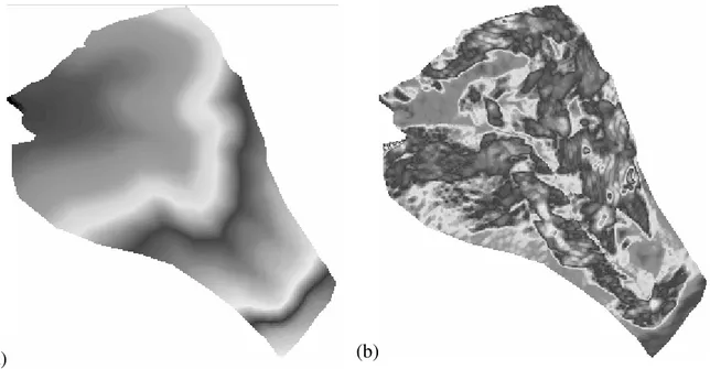 FIGURA 5. Imagem de bacia hidrográfica representando o Modelo Digital de Elevação (a) e o Modelo  Digital de Declividade (b)