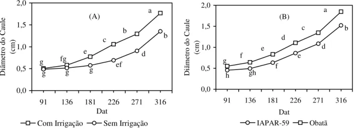 FIGURA 5. Diâmetro do caule em função do regime hídrico, da cultivar de cafeeiro e da época de avaliação