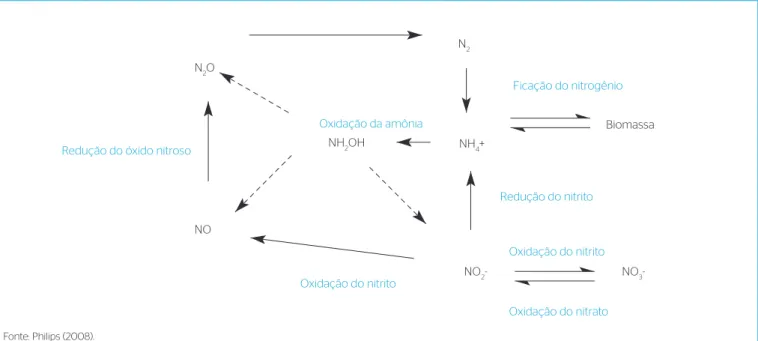 Figura 1 – Representação esquemática das reações envolvidas no ciclo biológico do nitrogênio