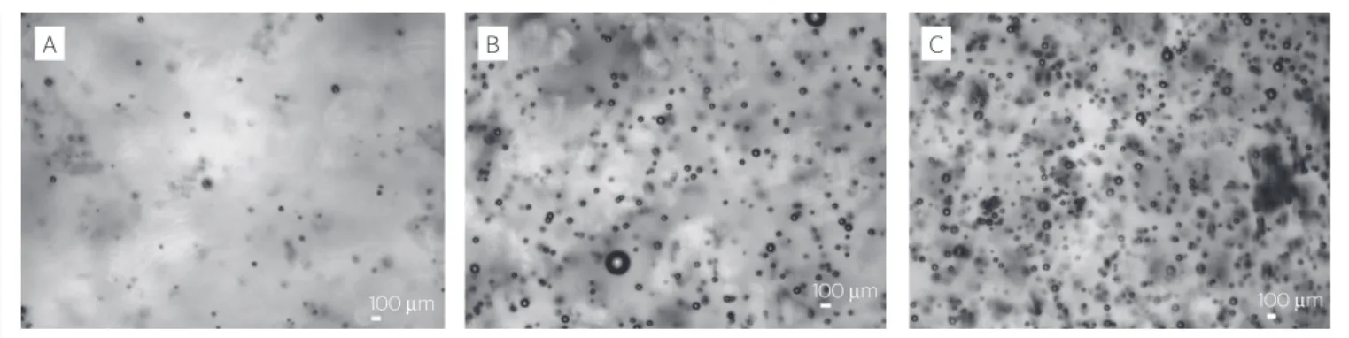 Figura 9 – Exemplos de imagens das microbolhas de ar com a aplicação de C b  de 3,3 mg.L -1  (A), C