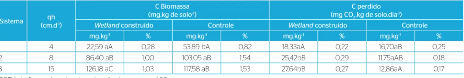 Tabela 6 – Carbono da biomassa microbiana e respiração basal nos wetlands construídos e controles na camada de 0–5 cm dos solos após o segundo  ciclo da cultura (dezembro de 2005 a setembro de 2006).