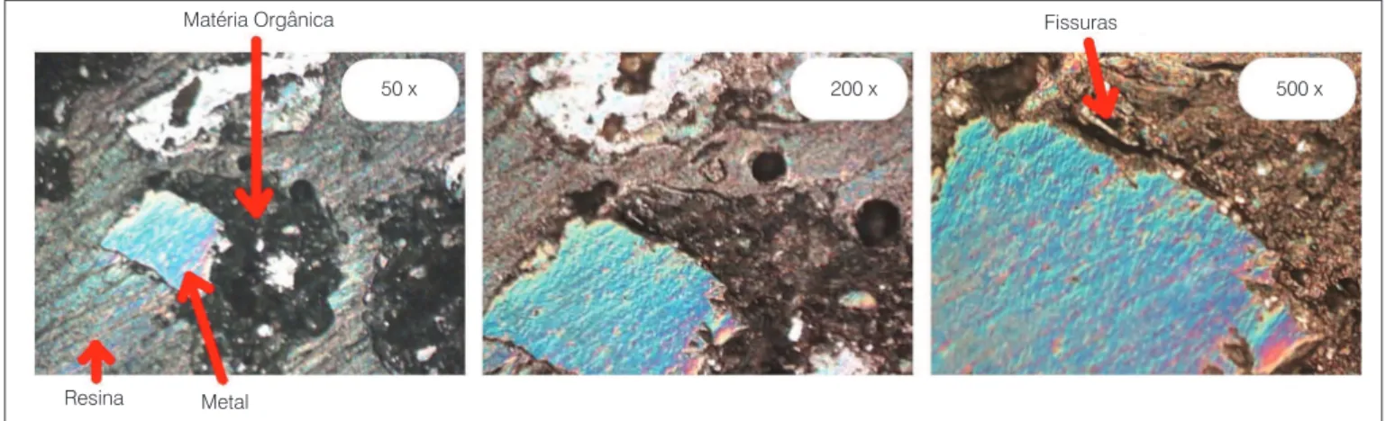 Figura 4 – Imagem de microscopia óptica de uma partícula de resíduo sólido urbano pré-tratado mecânica e biologicamente.