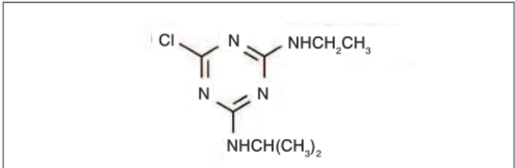 Figura 2 – Moléculas de atrazina adsorvidas em carvão ativado 