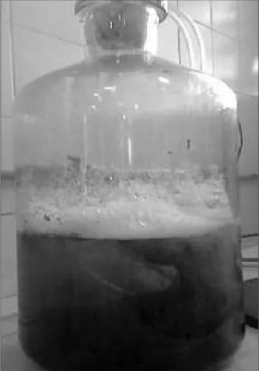 Figura 1 - Reator com biomassa imobilizada de Aspergillus niger AN400, 