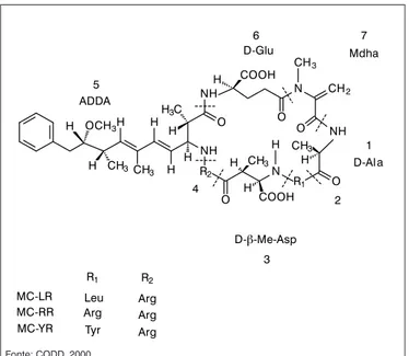 Figura 1 – Estrutura química das Microcistinas