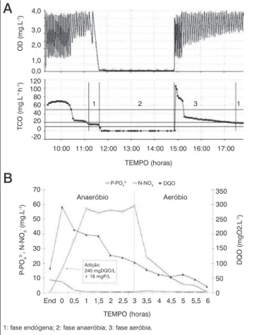 Figura  6  –  (A)  Perfil  da  concentração  de  oxigênio  dissolvido  e  taxa  de  consumo  de  oxigênio  por  meio  da  respirometria;  (B)  perfil  da  concentração  de  P-PO 4 3- ,  N-NO