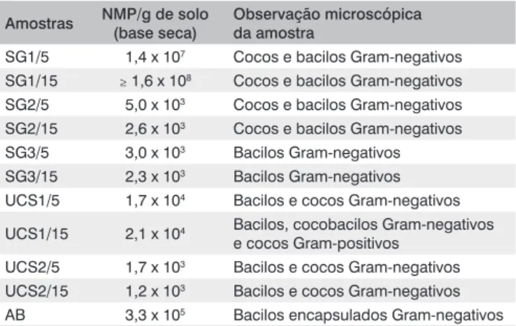 Tabela 4 – Enumeração de tubos positivos NMP nas amostras coletadas  nos três aterros
