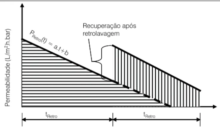 Figura 2 – Modelo linear da permeabilidade como função do tempo após 