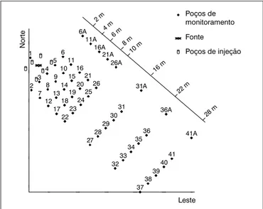 Figura 1 – Distribuição dos poços de monitoramento e de injeção e dis-