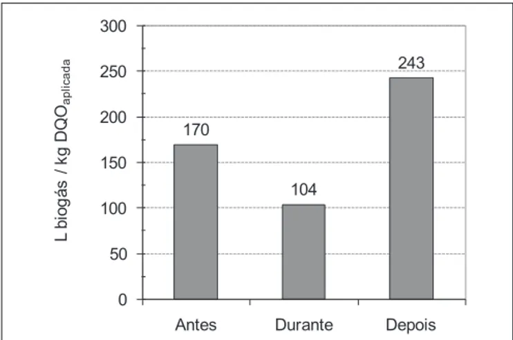 Figura 15 – Resultados médios de produção de biogás obtidos com a  alimentação do reator UASB com vazão constante