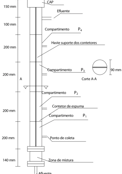 Figura 1- Esquema do reator de leito fixo com escoamento  ascendente e leito com espuma de poliuretano