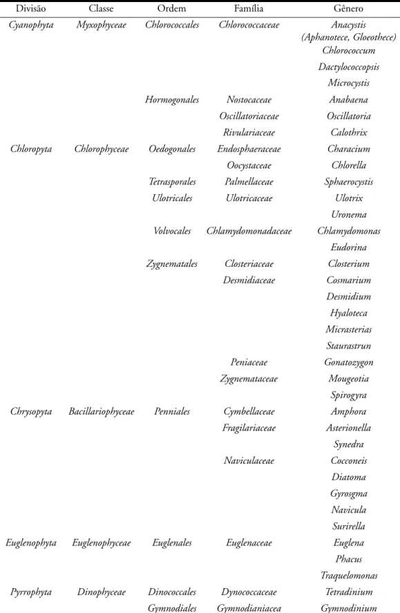 Tabela 2 - Classificação taxonômica de acordo com Prescott (1969) e Bicudo &amp; Bicudo (1970) dos  gêneros fitoplanctônicos encontrados nas estações de coletas na área de influência da empresa 