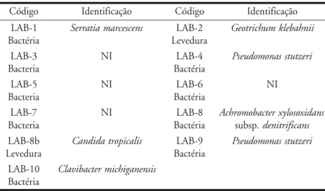 Tabela 4 – Identificação dos microrganismos encontrados nos reatores durante o processo de tratamento da água residuária da indústria cítrica