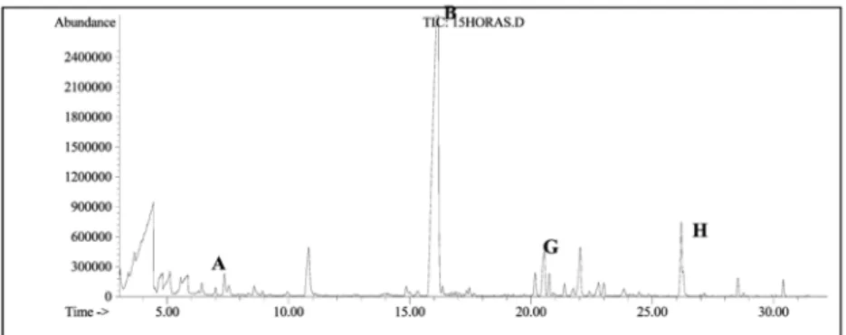 Figura 6 - Cromatograma do efluente bruto da indústria cítrica após 15 horas de reação