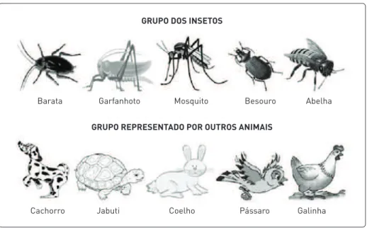 Figura 1: Ilustrações utilizadas para a obtenção de expressões dos alunos sobre os animais.