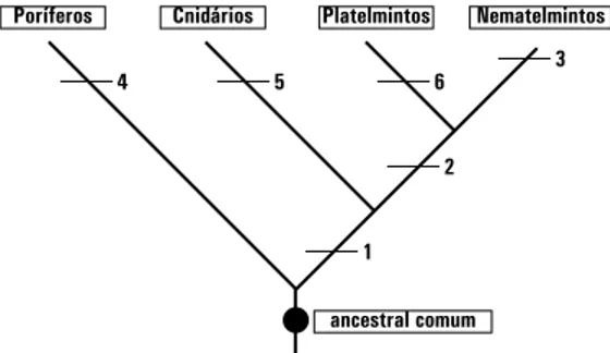 Figura 4 – Atividade com abordagem da filogenia. (FAVARETO; MERCADANTE, 2005, p. 326).