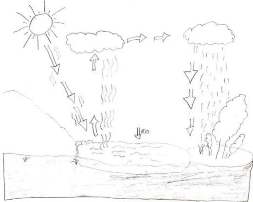 Figura 1 – Desenho do ciclo da água elaborado por um aluno de licenciatura em  Ciências Biológicas