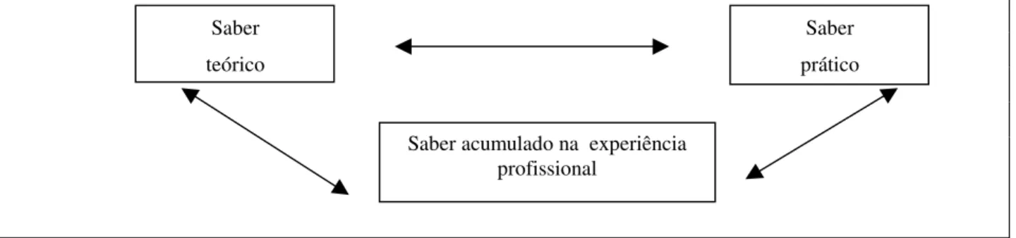 Figura 1:  Diferentes Saberes que constituem um saber profissional segundo Raisky (1996) 