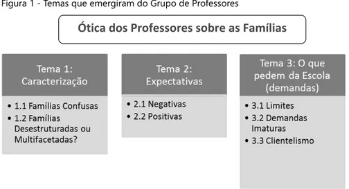 Figura 1 - Temas que emergiram do Grupo de Professores