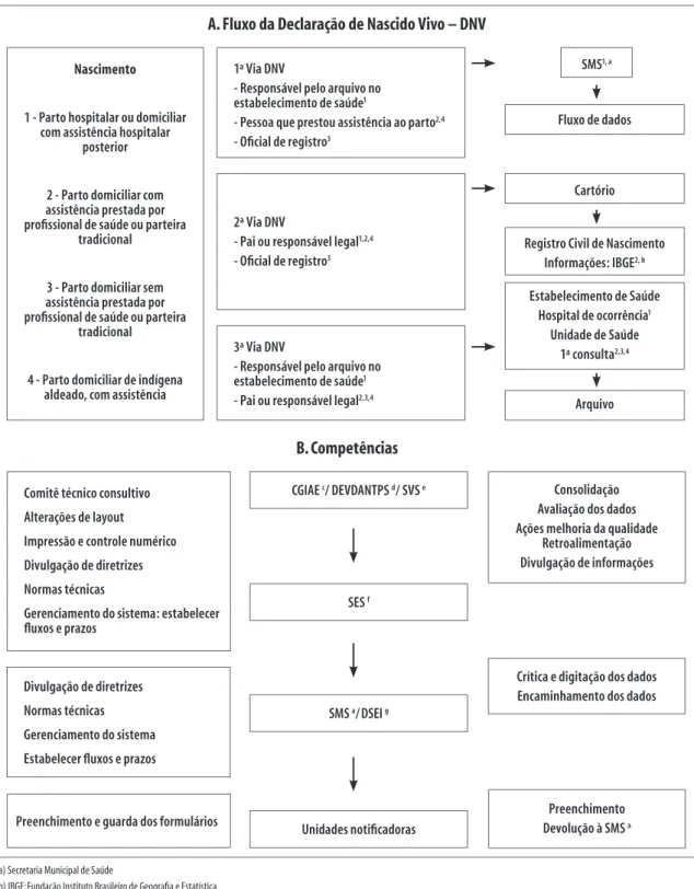 Figura 1 – Descrição do fluxo da Declaração de Nascido Vivo (DNV) e competências do Sistema de Informações sobre  Nascidos Vivos (Sinasc)