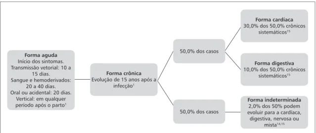 Figura 1  – Evolução dos casos agudos para casos crônicos de doença de Chagas
