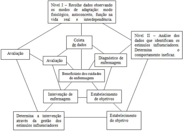 Figura 1. a 1. a 1. a 1. a 1. O Modelo de Adaptação de Roy e o Processo de Enfermagem (adaptado de Gary, 2001)