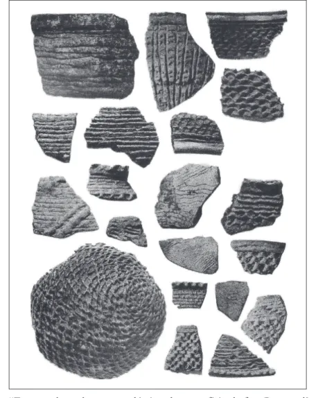 Figura 2 – “Formas de acabamento plástico da superfície da fase Pantanal” (Schmitz  et al, 1998, p.257).
