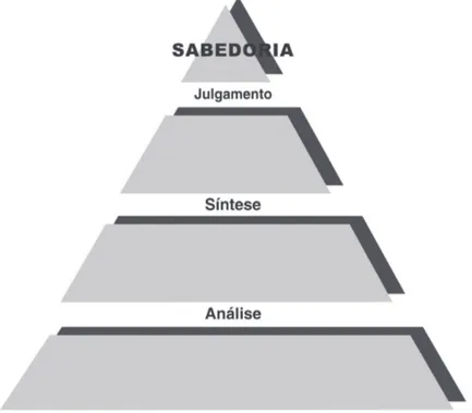 Figura  1  – Pirâmide ideal da decisão pragmática.