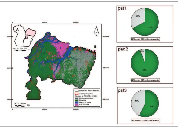 Figura  4 – Classes de cobertura vegetal do Estado do Pará remanescente, onde à  direita tem-se a proporção de floresta e desflorestamento total (pat1),  dentro das áreas protegidas (pad 2 ) e fora das áreas protegidas (paf3)